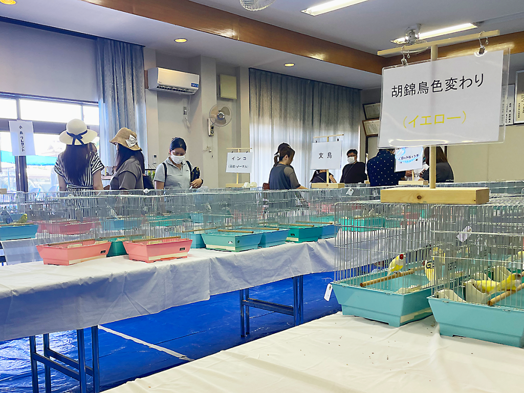 いい友小鳥クラブ品評会の様子
