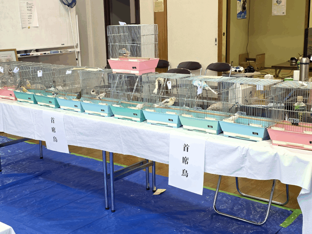 第17回品評会会場当日