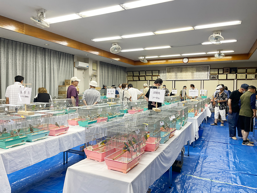 第15回小鳥いい友クラブ品評会結果用写真