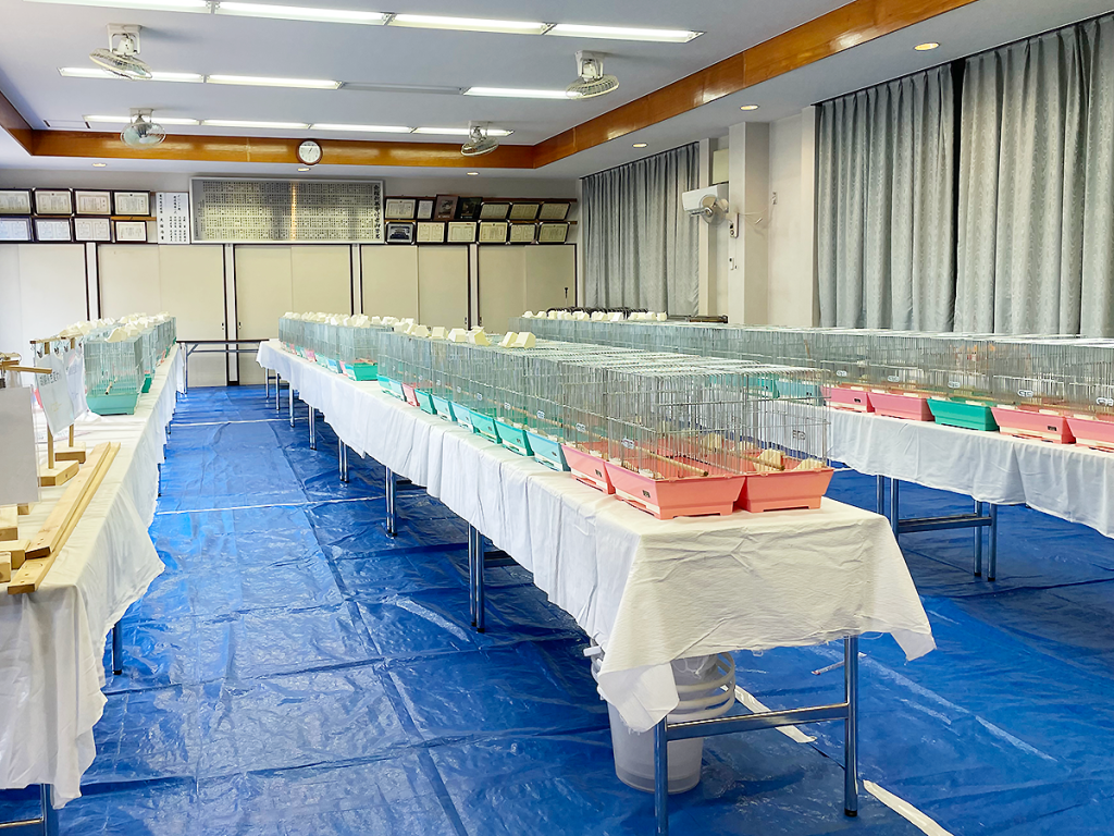 小鳥いい友クラブ会場設営