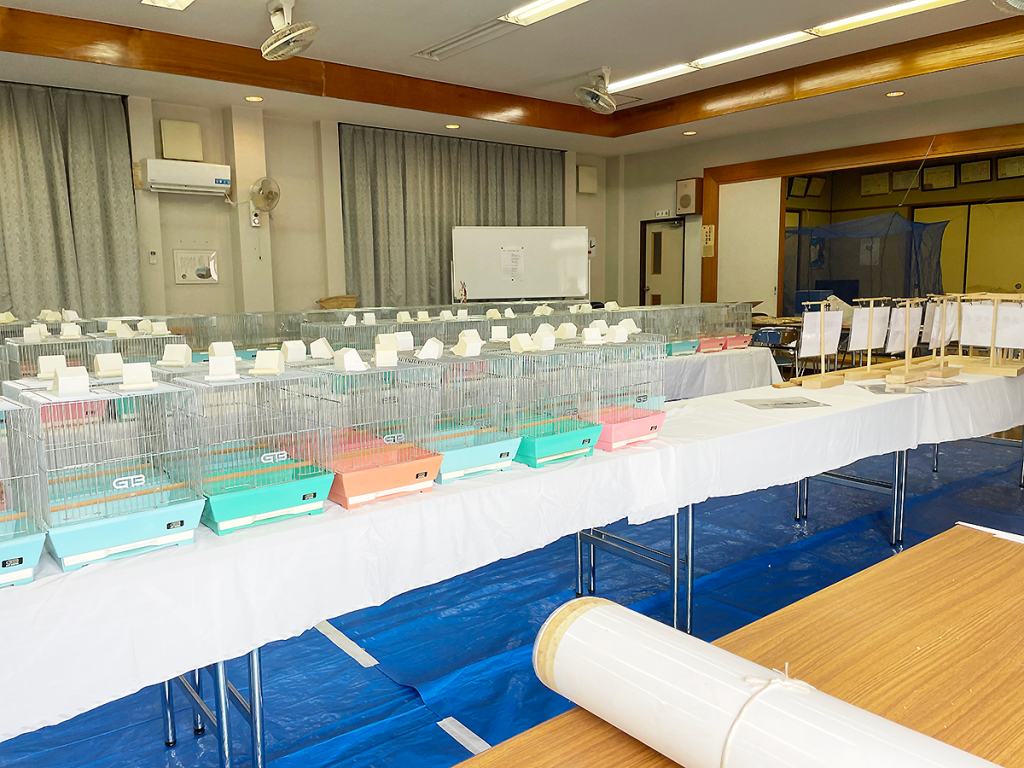 小鳥いい友クラブ会場設営